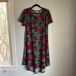 LuLaRoe Carly Dress